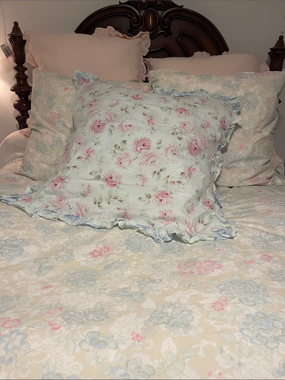 Rachel Ashwell Shabby chic AQUA SORBET  EURO SHAMS ‼️🌸🩵